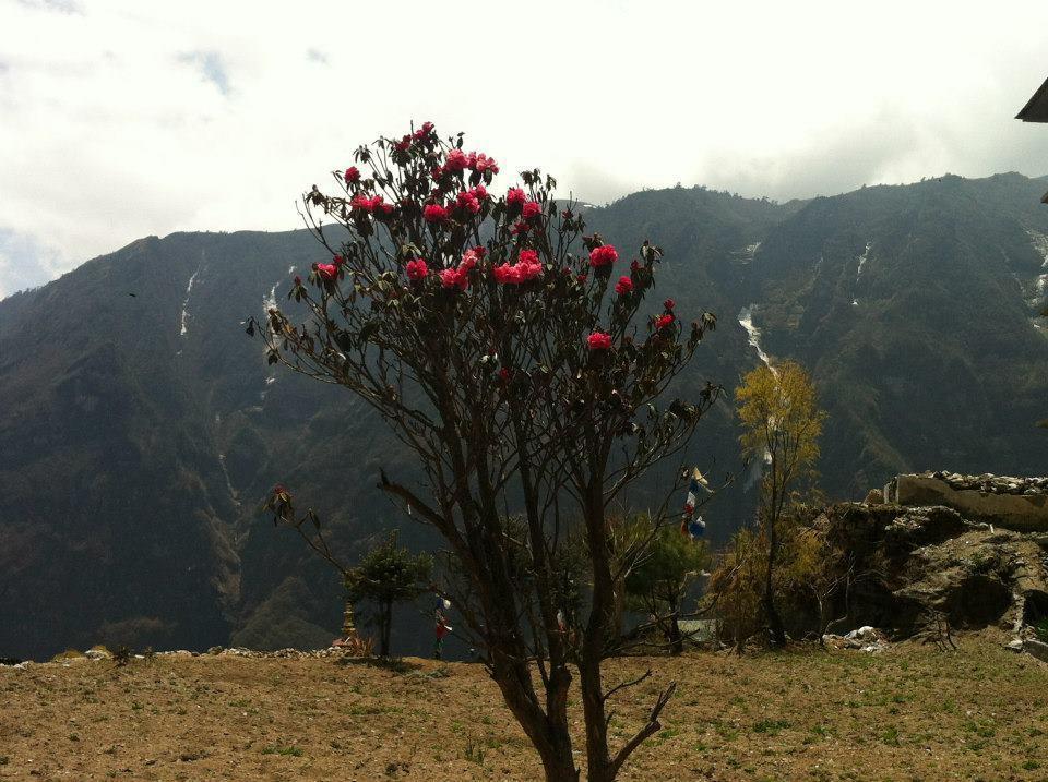 Hotel Namche Nāmche Bāzār Buitenkant foto